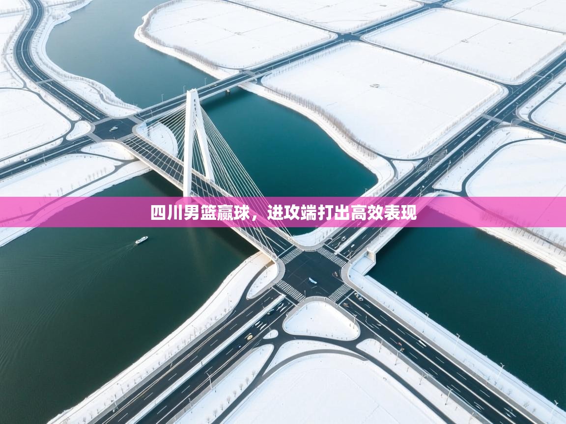 四川男篮赢球,进攻端打出高效表现 第1张