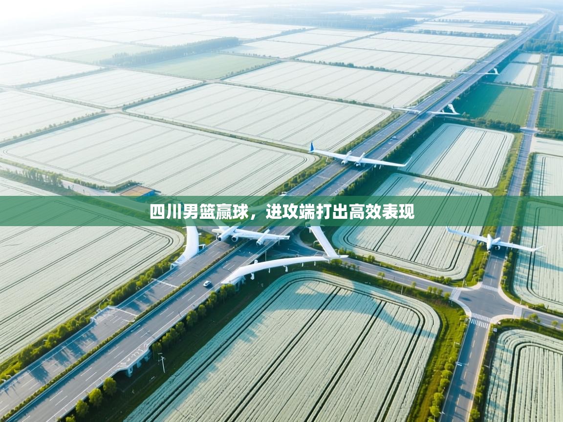 四川男篮赢球,进攻端打出高效表现 第2张