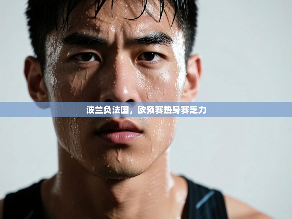 波兰负法国,欧预赛热身赛乏力 第1张