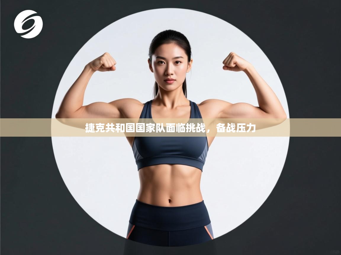 捷克共和国国家队面临挑战,备战压力 第2张