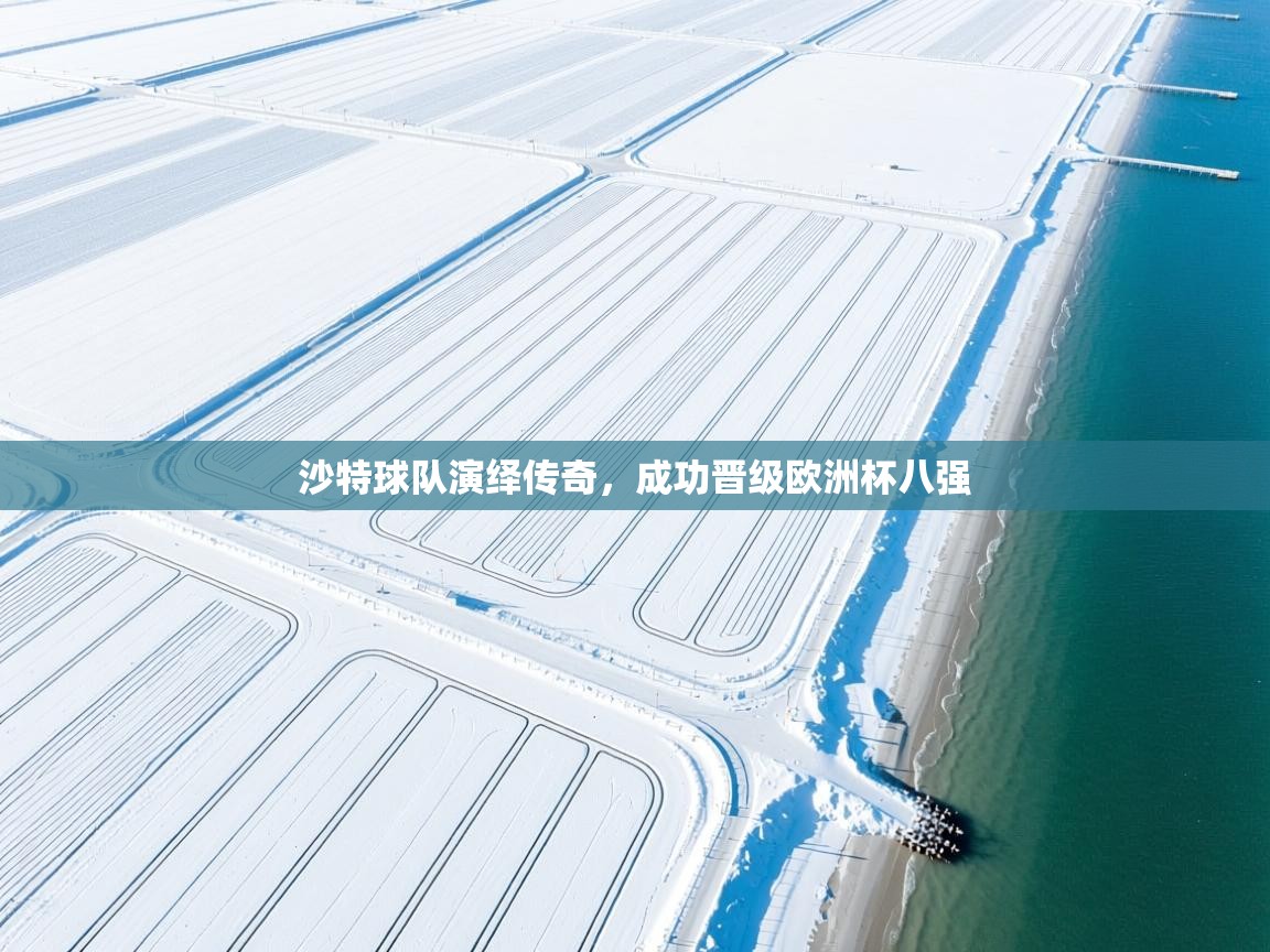 沙特球队演绎传奇，成功晋级欧洲杯八强  第2张