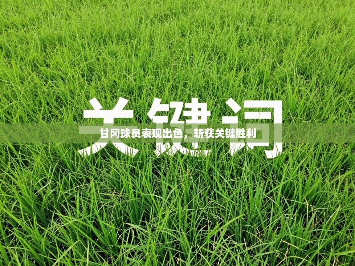 甘冈球员表现出色，斩获关键胜利