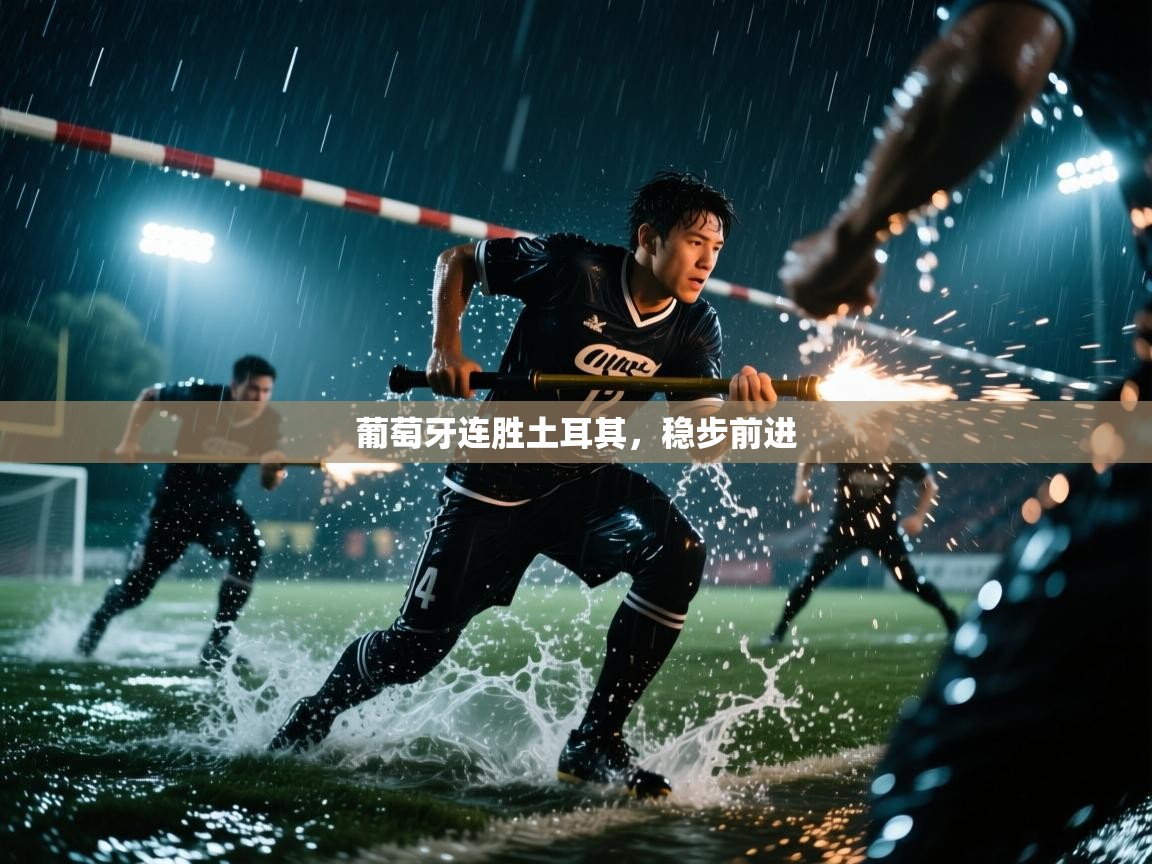 葡萄牙连胜土耳其,稳步前进 第2张