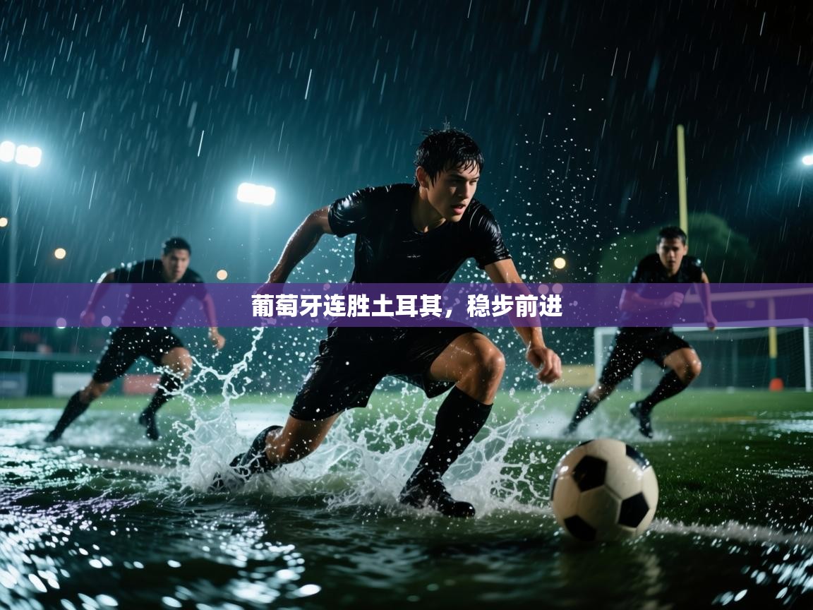 葡萄牙连胜土耳其,稳步前进 第1张