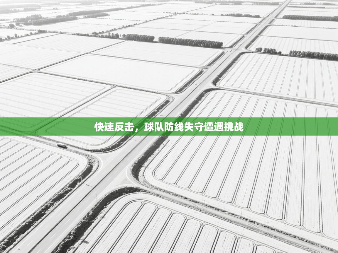 快速反击,球队防线失守遭遇挑战 第2张