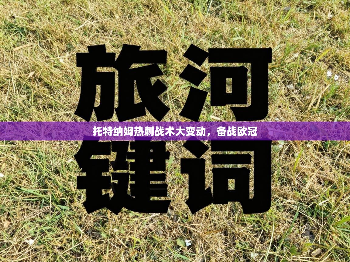 托特纳姆热刺战术大变动，备战欧冠  第1张