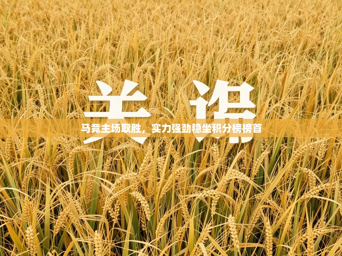 马竞主场取胜,实力强劲稳坐积分榜榜首 第2张