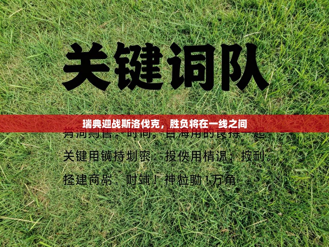 瑞典迎战斯洛伐克，胜负将在一线之间  第2张